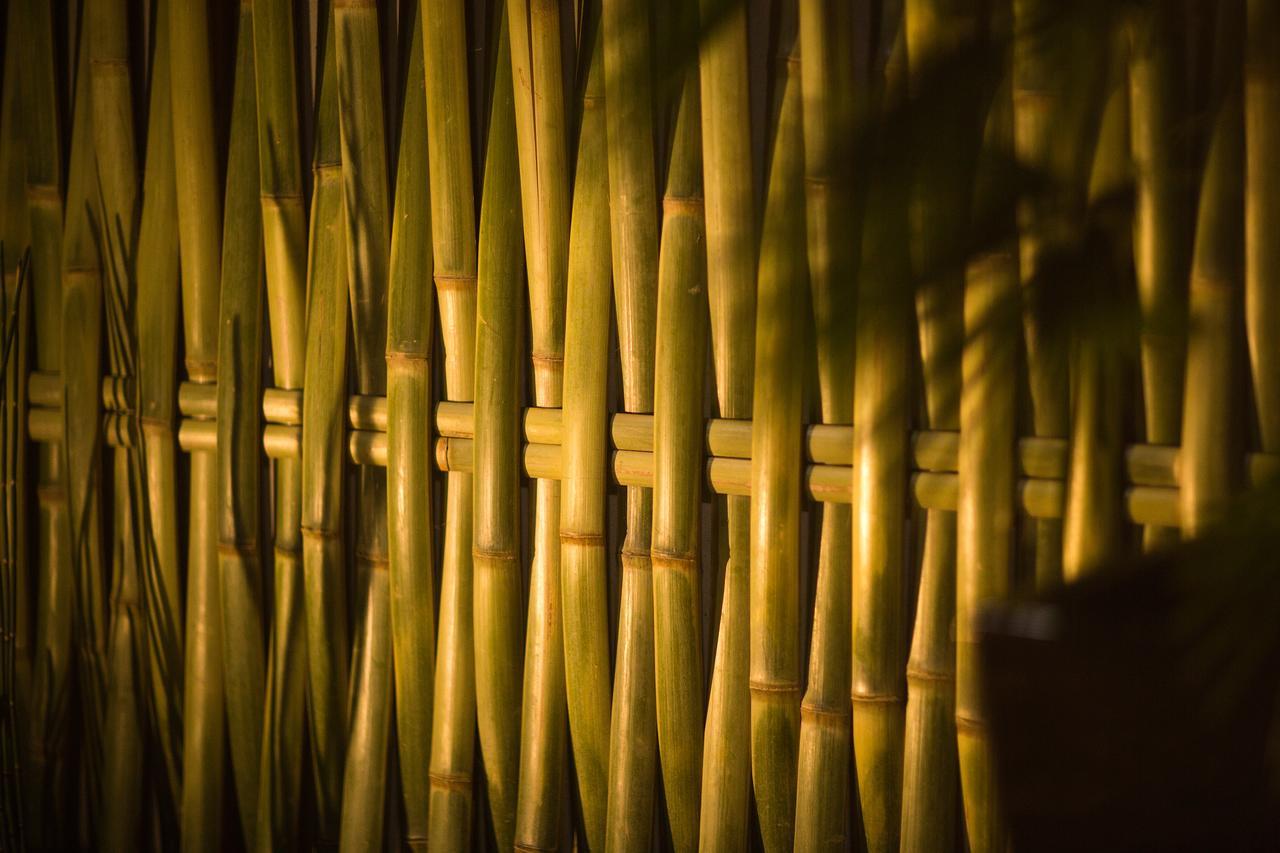 Ryokan Kanade Kyoto Exteriör bild